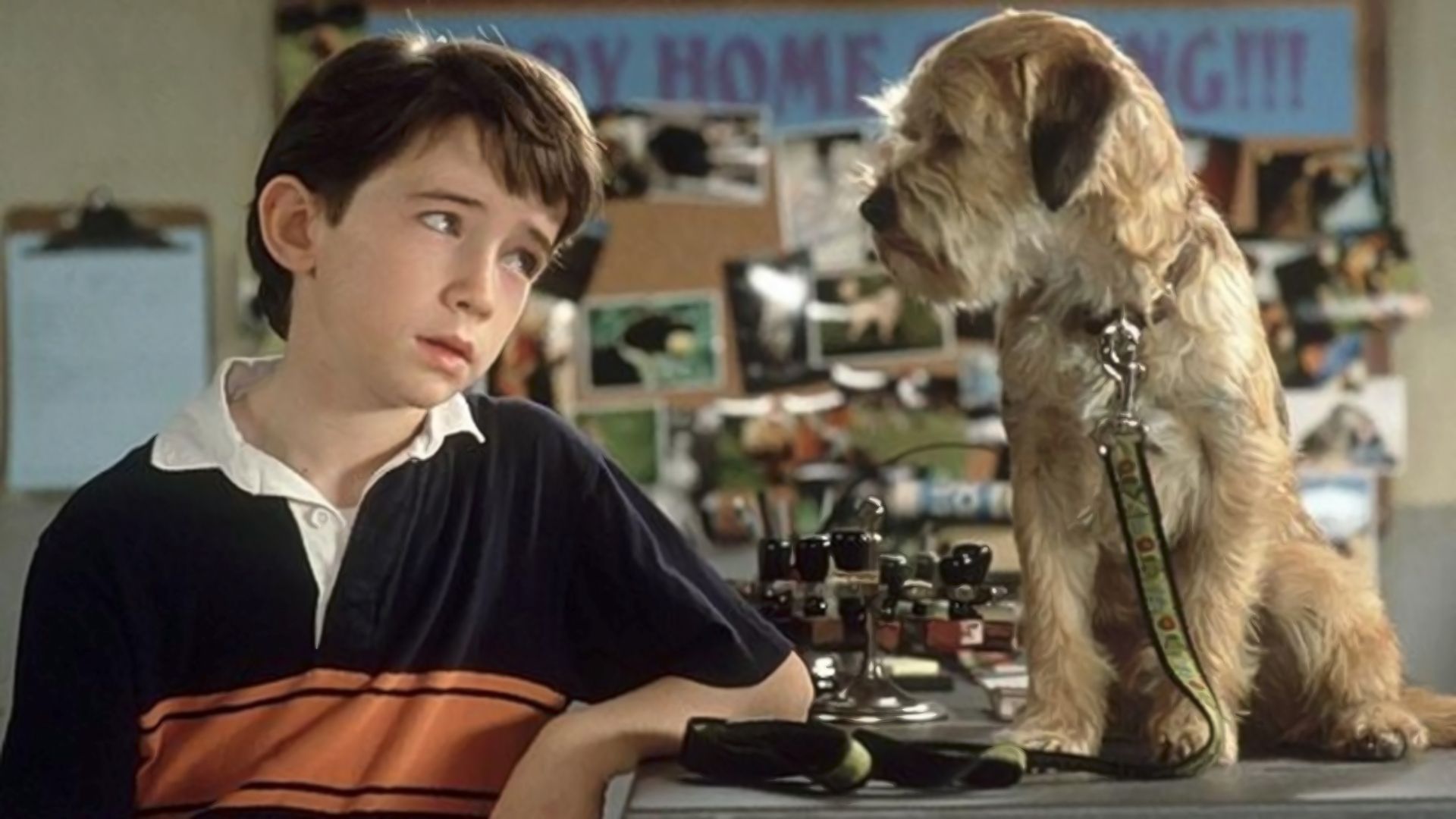 Лохматый спецназ