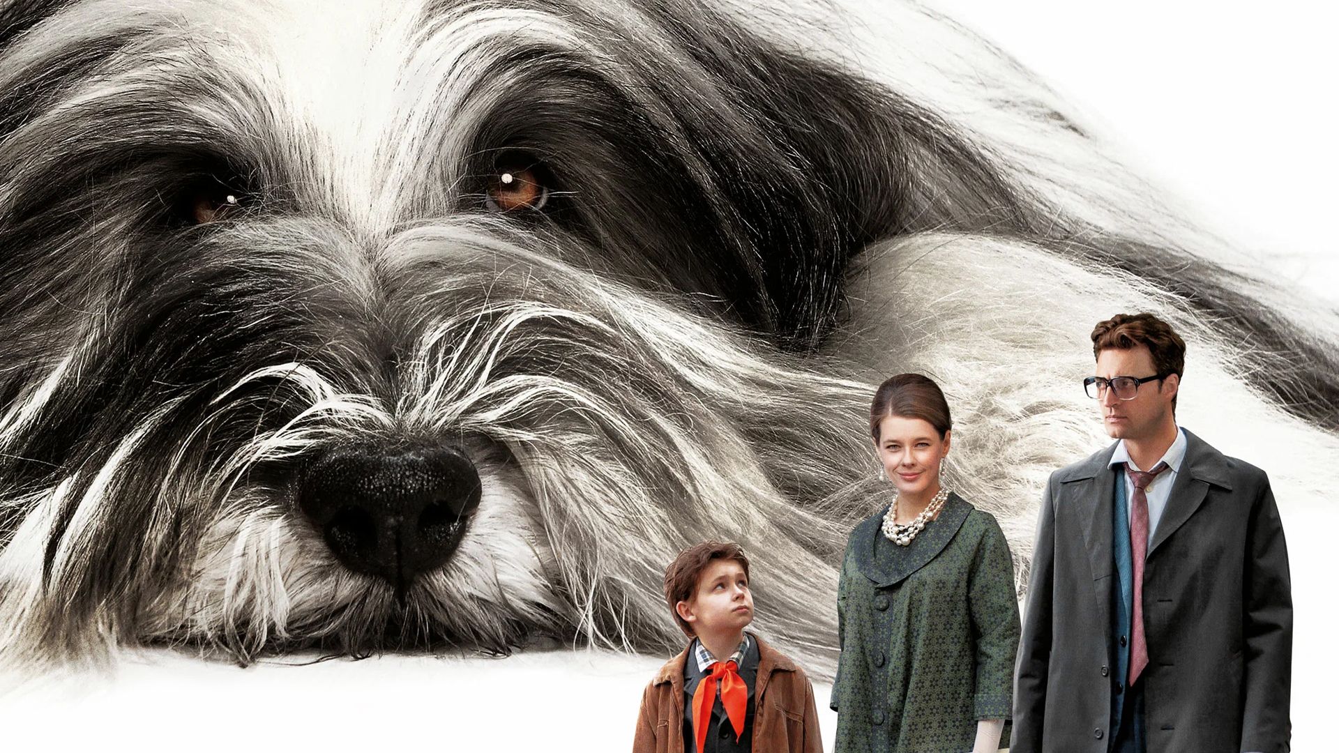 Каждый мечтает о собаке