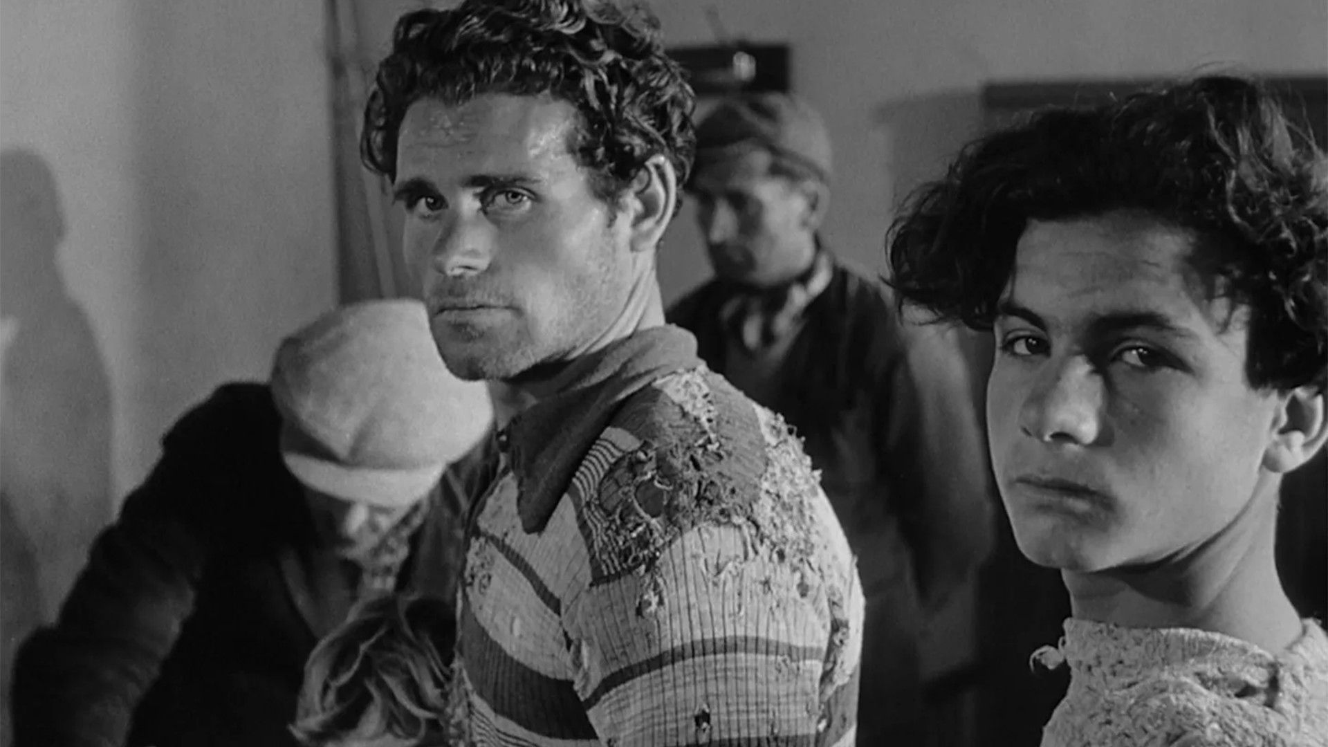 Земля дрожит