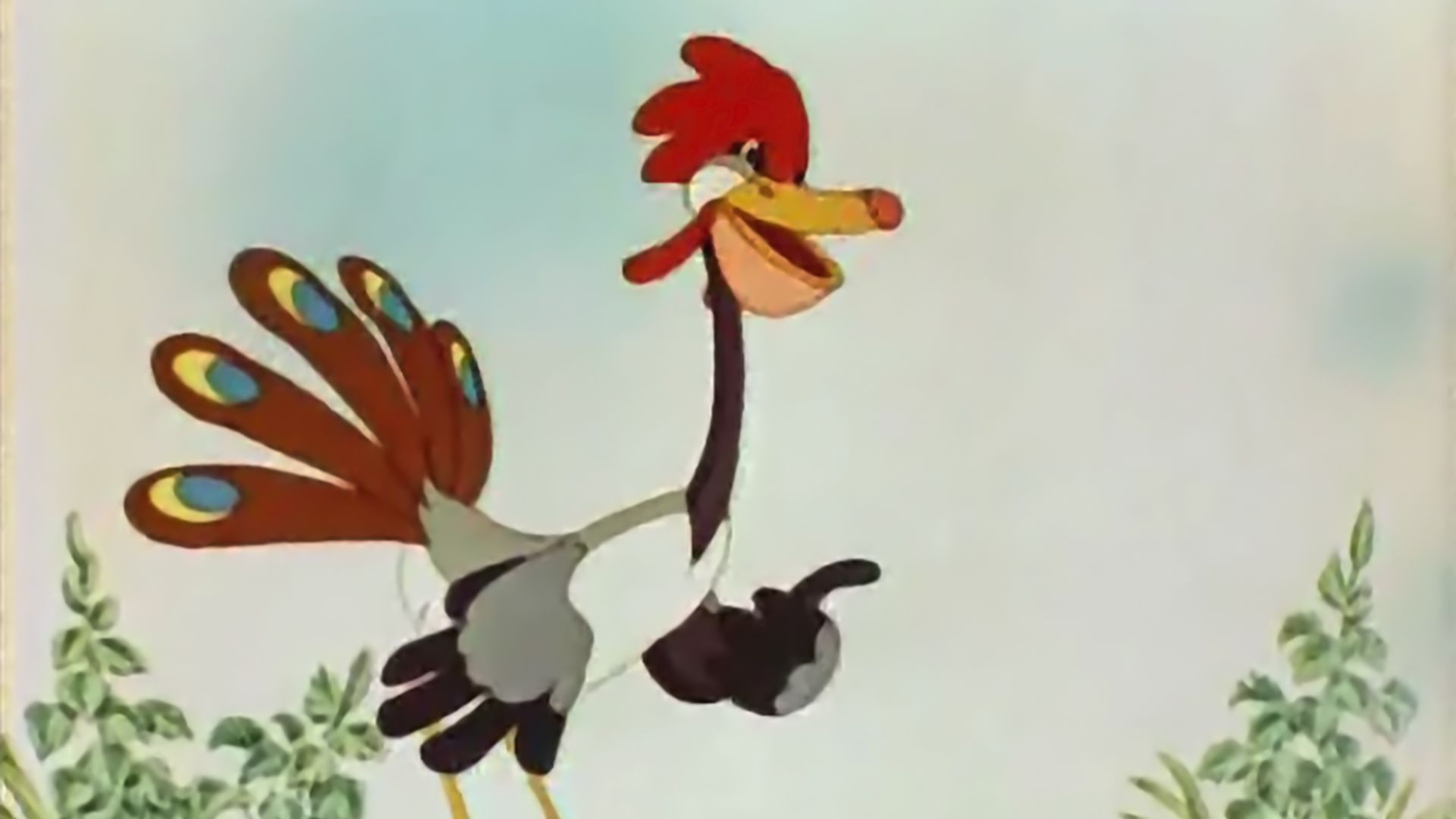 Это что за птица?