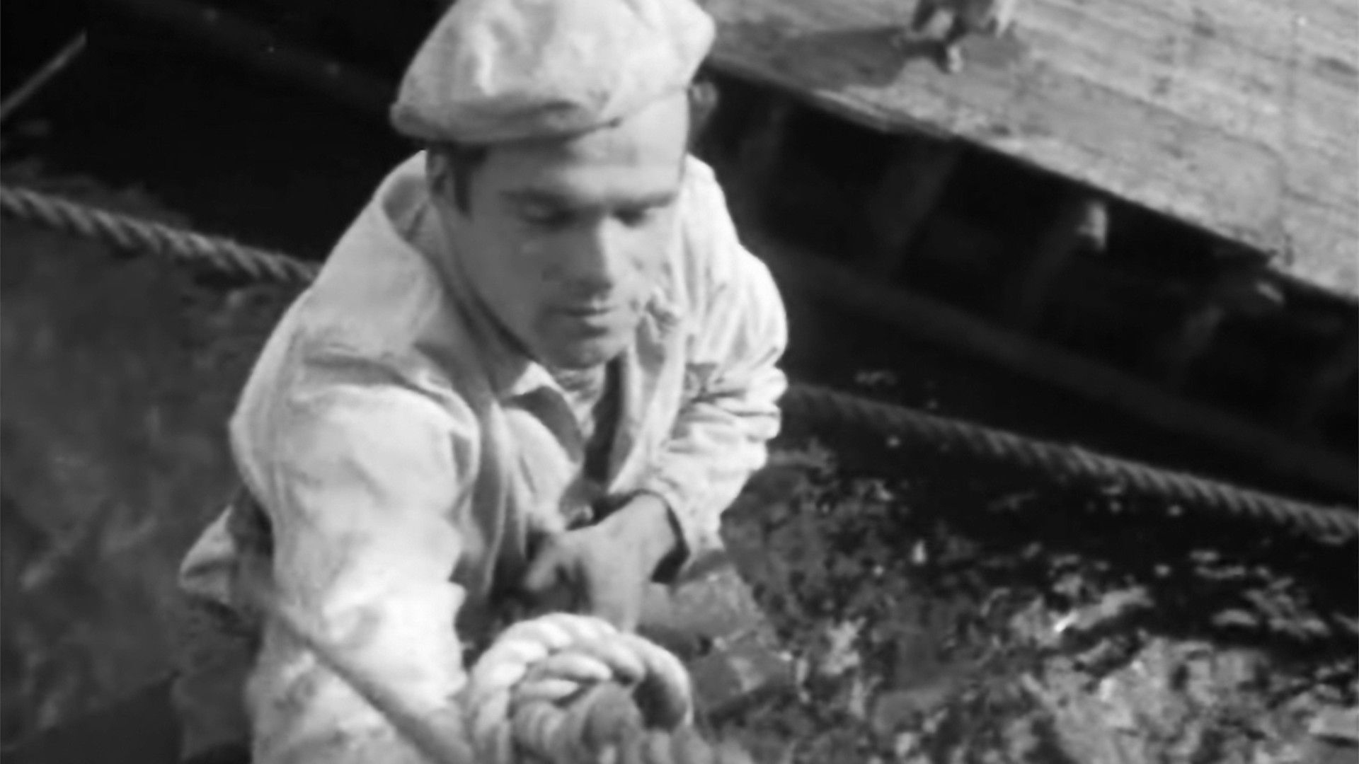 Шурка выбирает море