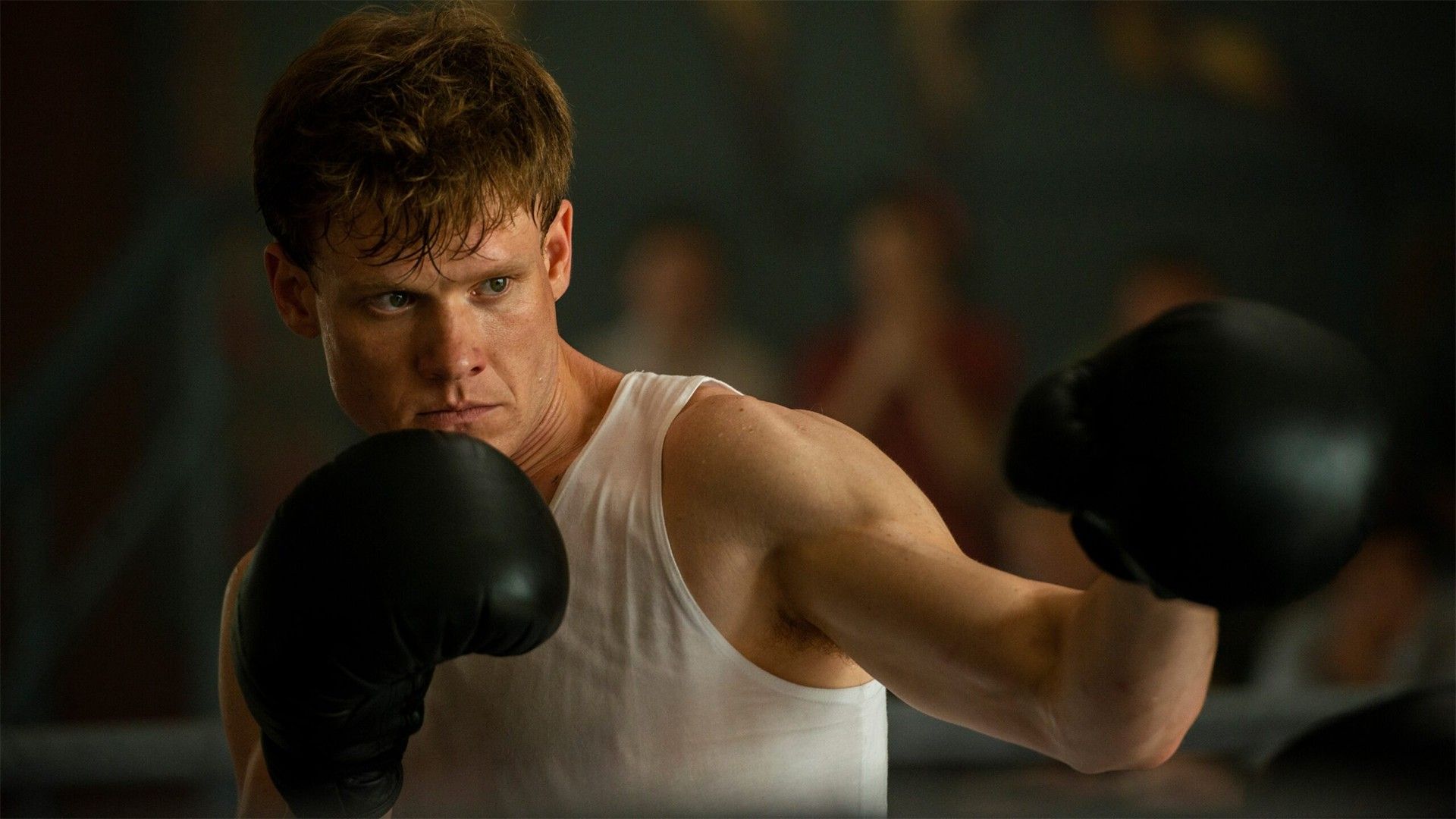 Мистер Нокаут