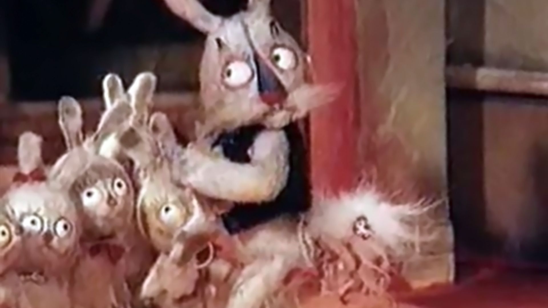 Заячий хвостик