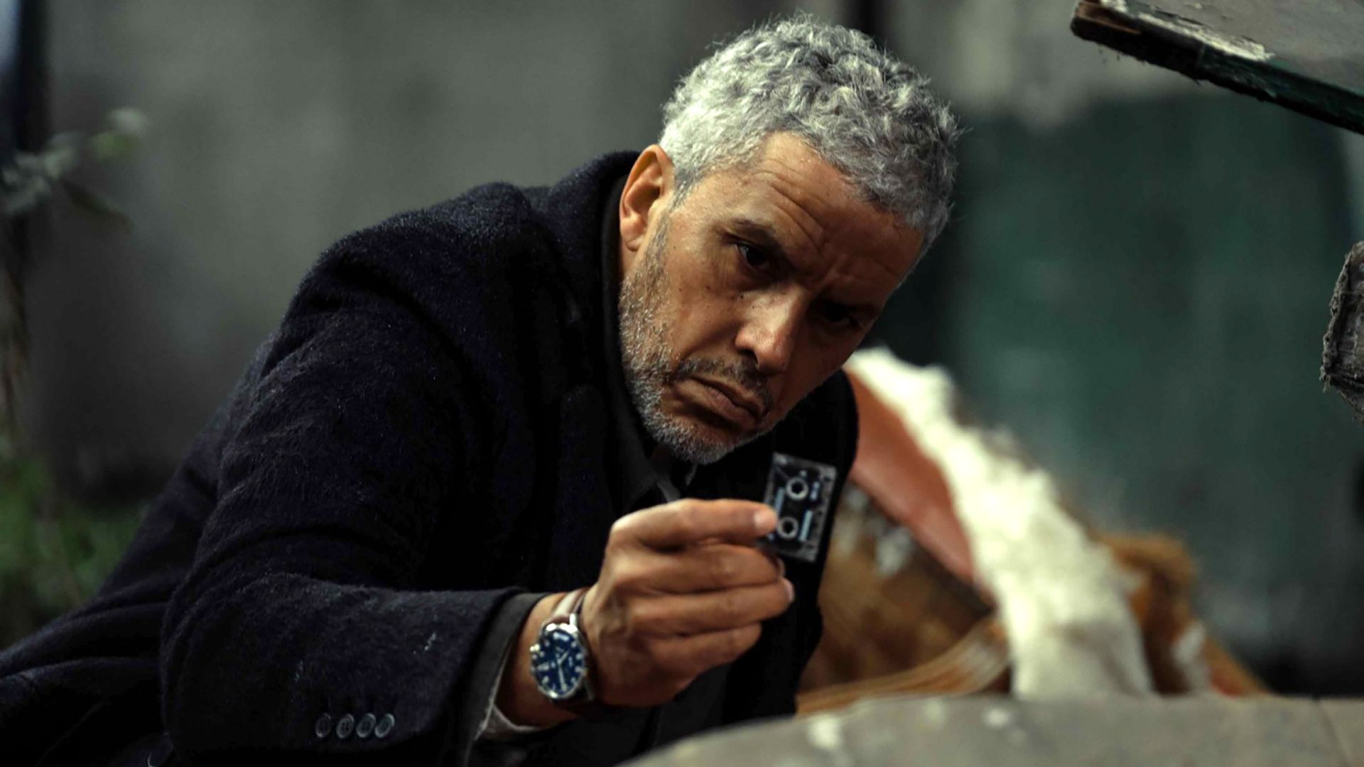 По следу тени