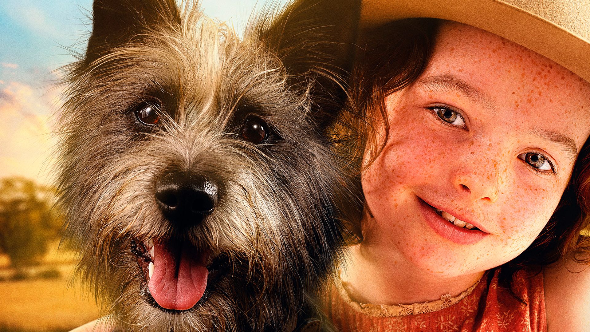 Мой любимый двортерьер