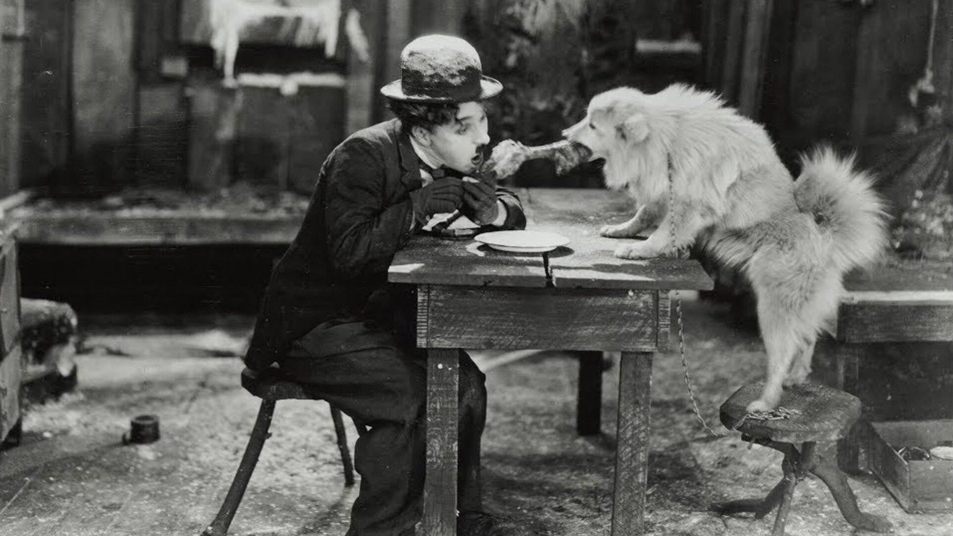 Золотая лихорадка