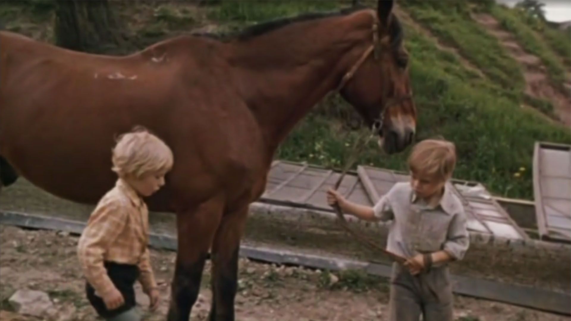 Хомут для Маркиза