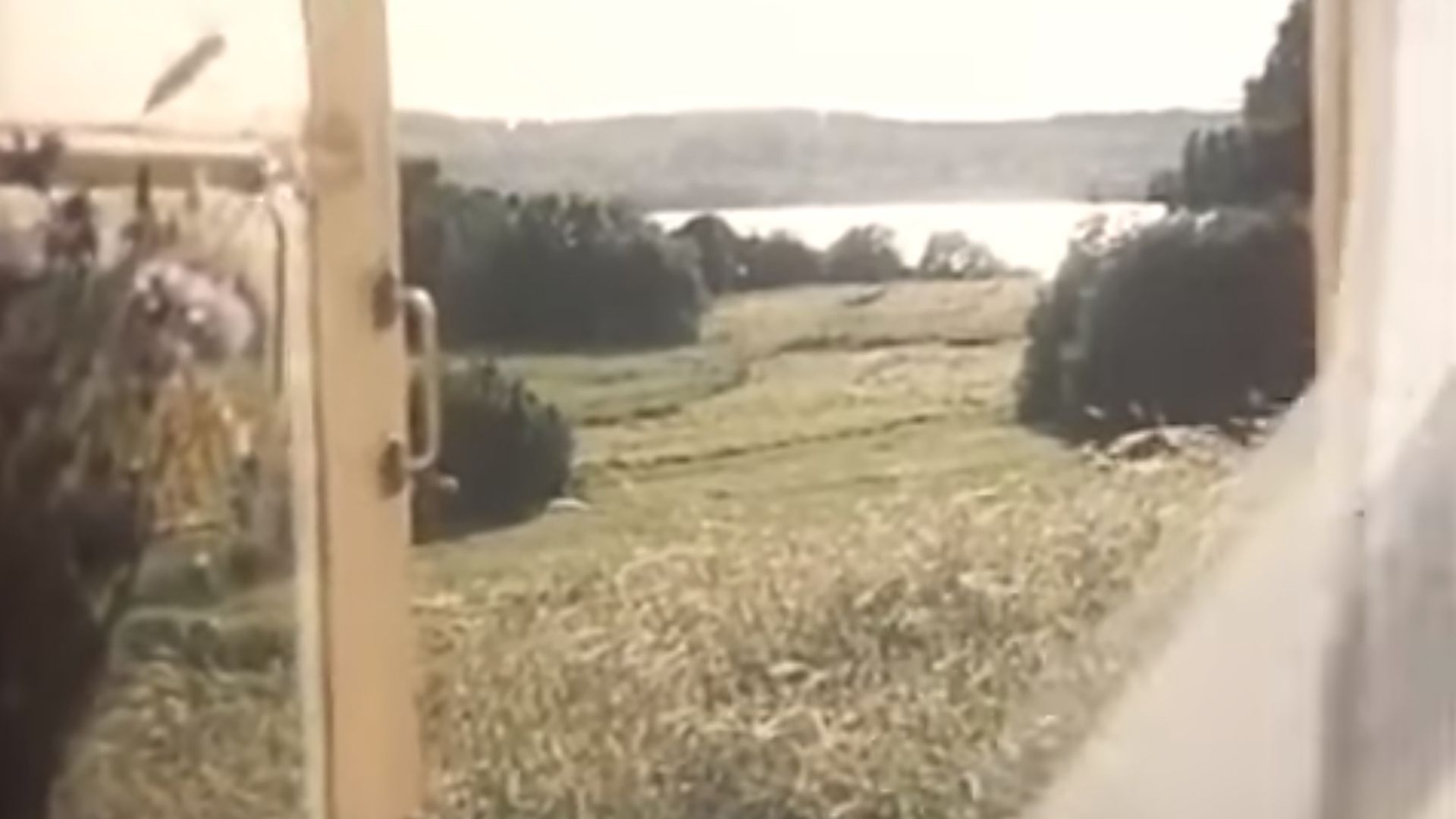 Радуница