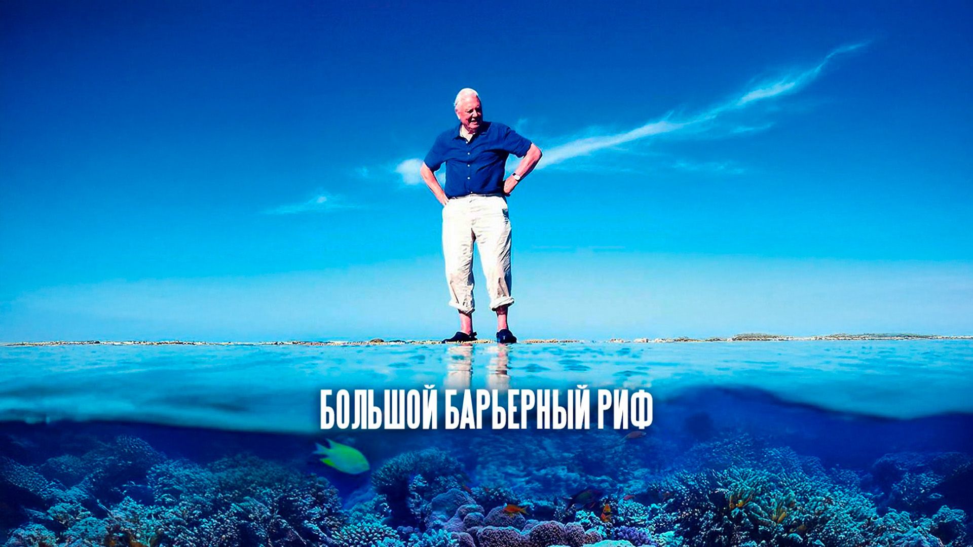 Большой Барьерный риф