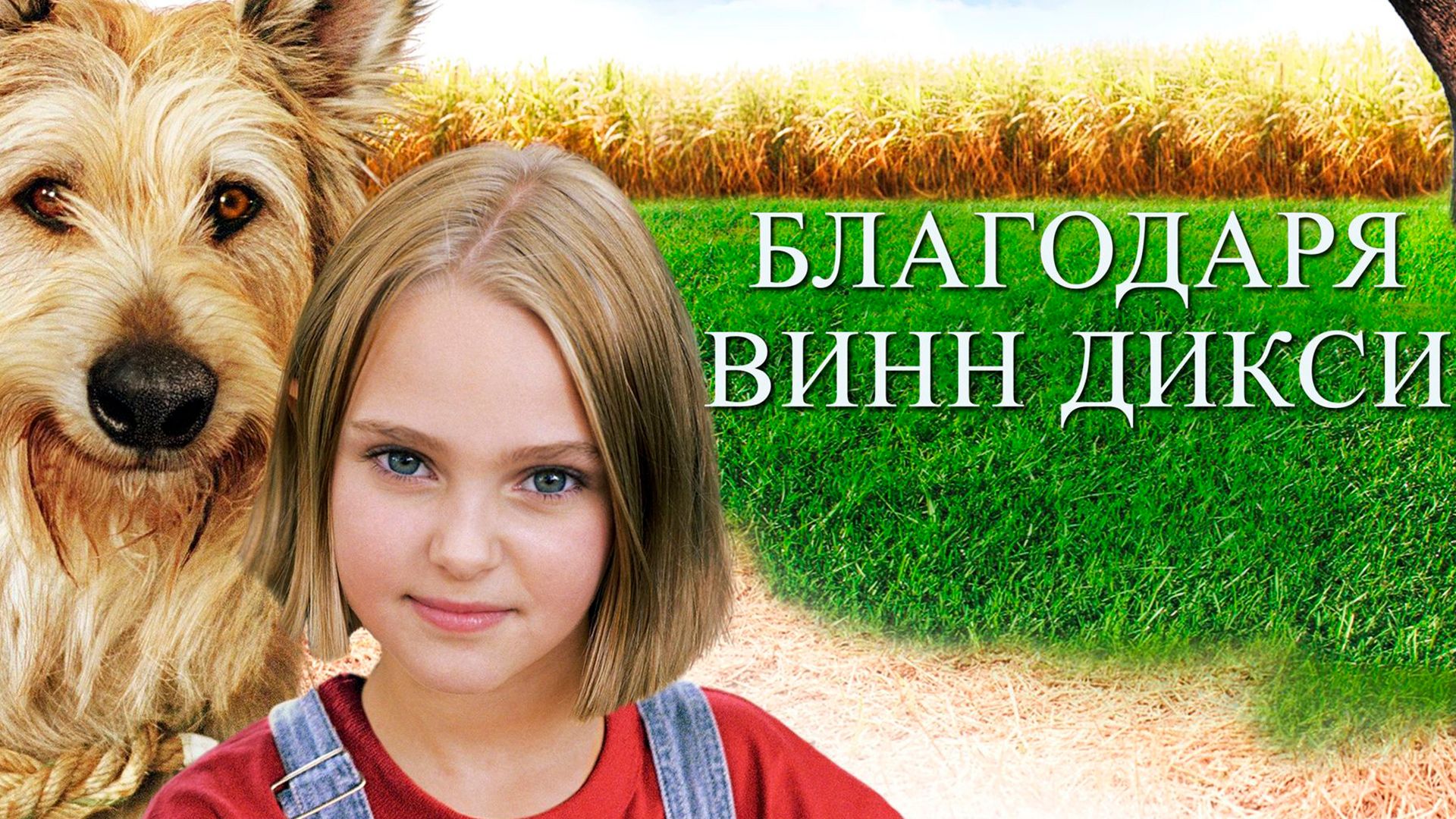 Благодаря Винн Дикси