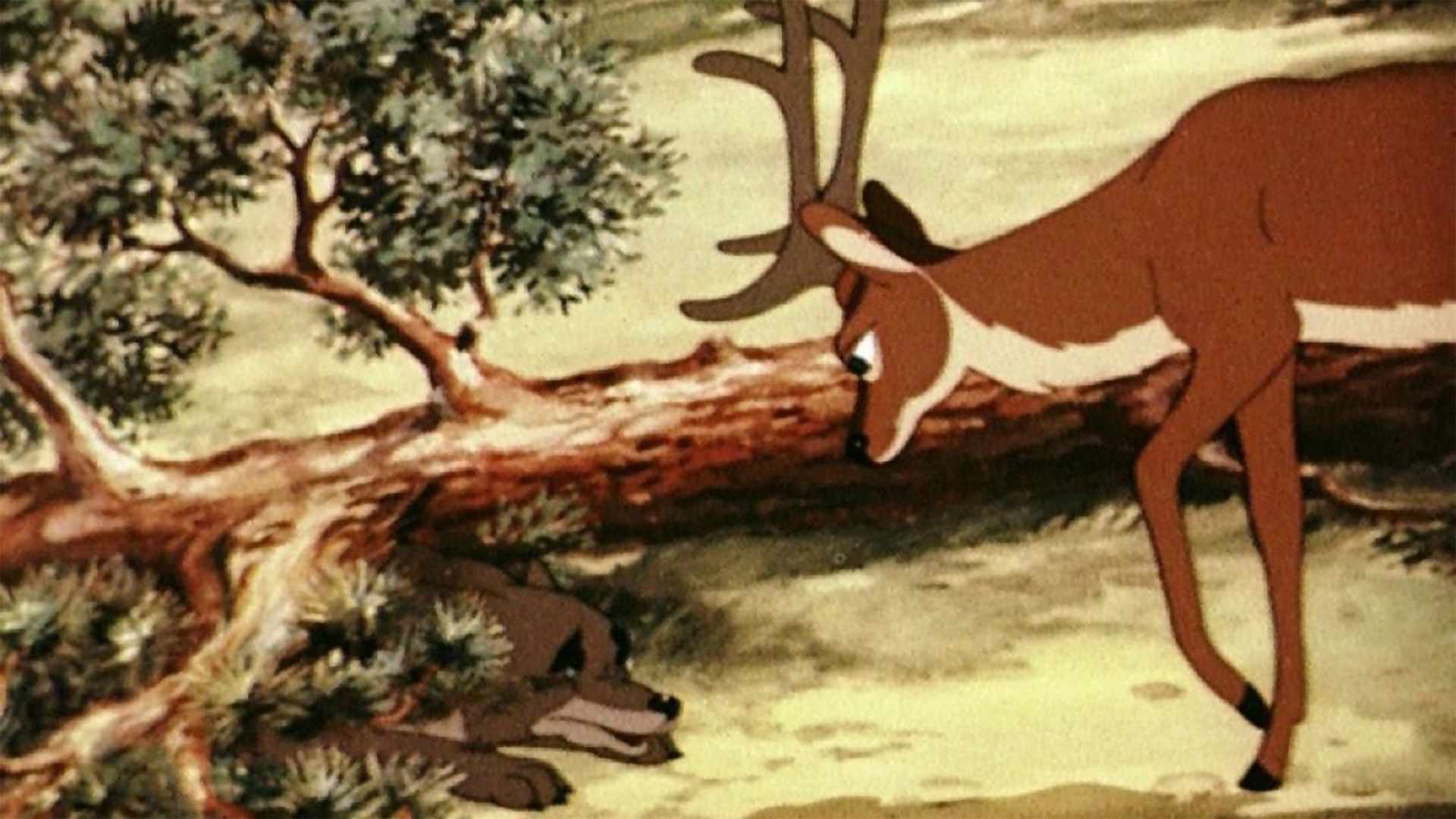 Олень и волк