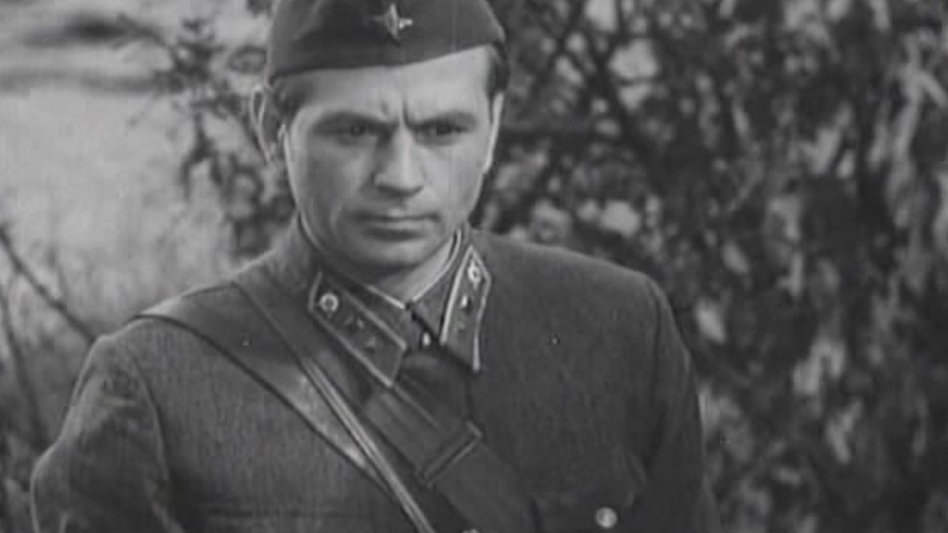 Боевой киносборник №6