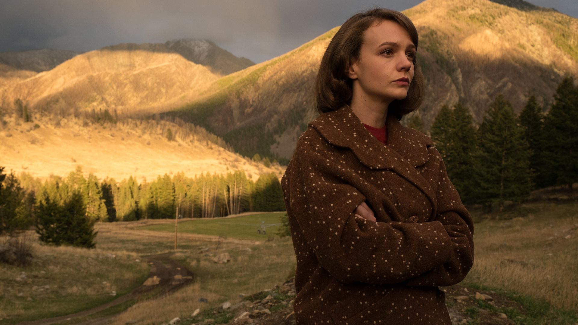 Дикая жизнь