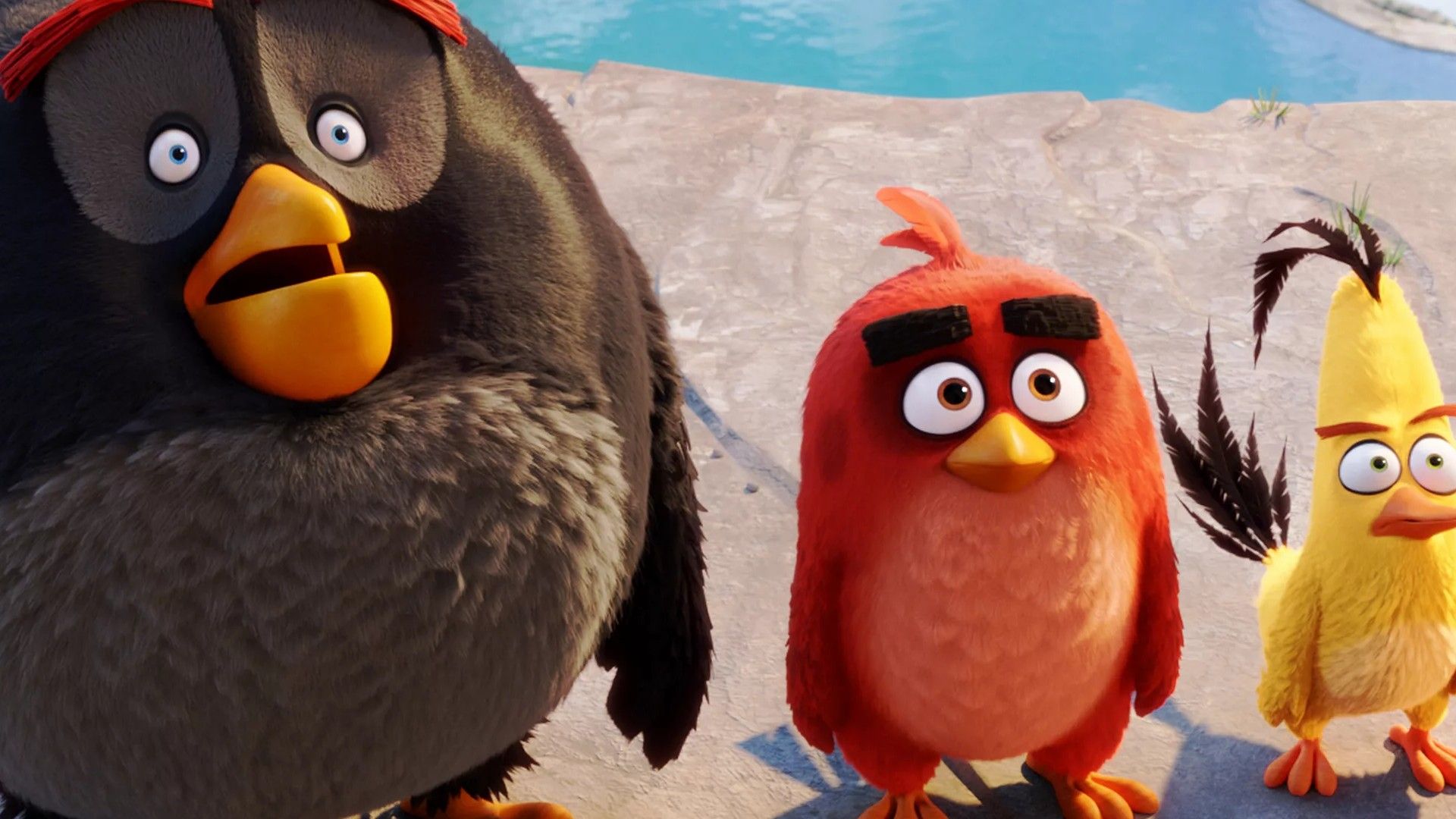 Сердитые Angry Birds. 51-я серия